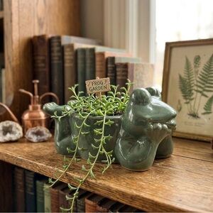 Large Ceramic Frog Planter - Handcrafted Green Frog Pot for Indoor Outdoor